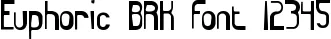 Dynamic Euphoric BRK Font Preview https://safirsoft.com