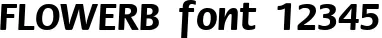 Dynamic FLOWERB Font Preview https://safirsoft.com