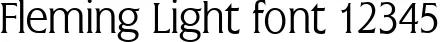 Dynamic Fleming Light Font Preview https://safirsoft.com