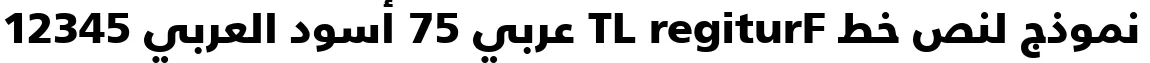 Dynamic Frutiger LT Arabic 75 Black Font Preview https://safirsoft.com