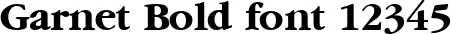 Dynamic Garnet Bold Font Preview https://safirsoft.com