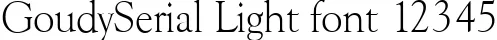 Dynamic GoudySerial Light Font Preview https://safirsoft.com