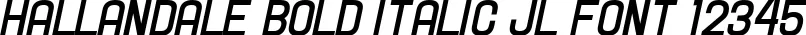 Dynamic Hallandale Bold Italic JL Font Preview https://safirsoft.com
