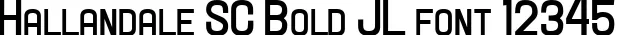 Dynamic Hallandale SC Bold JL Font Preview https://safirsoft.com