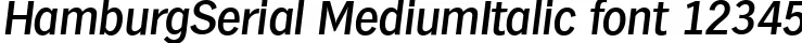 Dynamic HamburgSerial MediumItalic Font Preview https://safirsoft.com