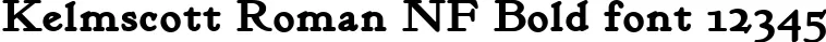 Dynamic Kelmscott Roman NF Bold Font Preview https://safirsoft.com