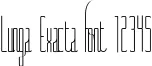 Dynamic Lunga Exacta Font Preview https://safirsoft.com