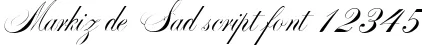 Dynamic Markiz de Sad script Font Preview https://safirsoft.com