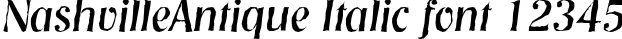 Dynamic NashvilleAntique Italic Font Preview https://safirsoft.com