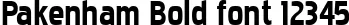 Dynamic Pakenham Bold Font Preview https://safirsoft.com