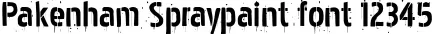 Dynamic Pakenham Spraypaint Font Preview https://safirsoft.com
