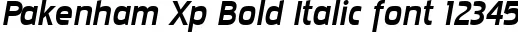 Dynamic Pakenham Xp Bold Italic Font Preview https://safirsoft.com