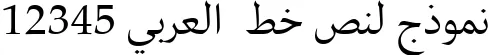 Dynamic Palatino LT Arabic Font Preview https://safirsoft.com