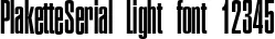 Dynamic PlaketteSerial Light Font Preview https://safirsoft.com