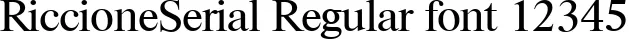 Dynamic RiccioneSerial Regular Font Preview https://safirsoft.com