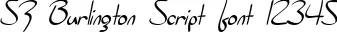 Dynamic SF Burlington Script Font Preview https://safirsoft.com