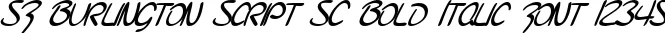 Dynamic SF Burlington Script SC Bold Italic Font Preview https://safirsoft.com