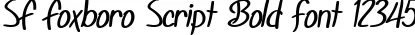 Dynamic SF Foxboro Script Bold Font Preview https://safirsoft.com