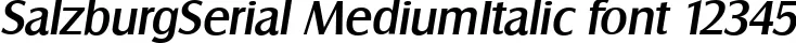 Dynamic SalzburgSerial MediumItalic Font Preview https://safirsoft.com