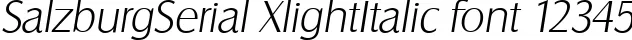 Dynamic SalzburgSerial XlightItalic Font Preview https://safirsoft.com