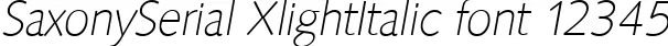 Dynamic SaxonySerial XlightItalic Font Preview https://safirsoft.com