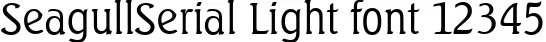 Dynamic SeagullSerial Light Font Preview https://safirsoft.com