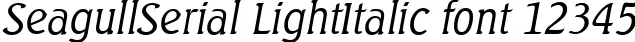 Dynamic SeagullSerial LightItalic Font Preview https://safirsoft.com