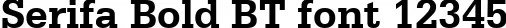 Dynamic Serifa Bold BT Font Preview https://safirsoft.com