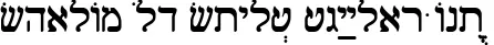 Dynamic Shalom Old Style Regular Font Preview https://safirsoft.com