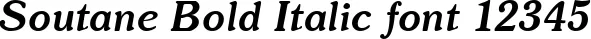 Dynamic Soutane Bold Italic Font Preview https://safirsoft.com