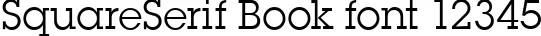 Dynamic SquareSerif Book Font Preview https://safirsoft.com