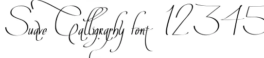 Dynamic Suave Calligraphy Font Preview https://safirsoft.com