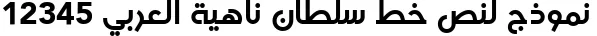 Dynamic Sultan Nahia Font Preview https://safirsoft.com