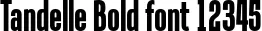 Dynamic Tandelle Bold Font Preview https://safirsoft.com