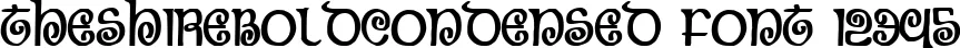 Dynamic TheShireBoldCondensed Font Preview https://safirsoft.com