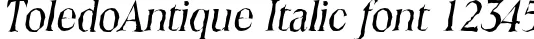 Dynamic ToledoAntique Italic Font Preview https://safirsoft.com