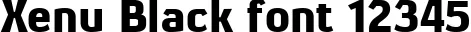 Dynamic Xenu Black Font Preview https://safirsoft.com