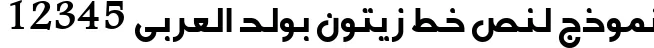 Dynamic Zeytoon Bold Font Preview https://safirsoft.com