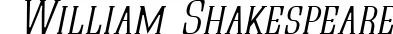 Dynamic Quastic Kaps Thin Italic Font Preview https://safirsoft.com