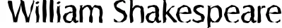 Dynamic SalzburgRandom Regular Font Preview https://safirsoft.com