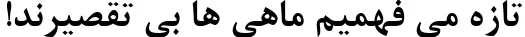 Dynamic B Nazanin Bold Font Preview https://safirsoft.com